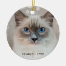 Zoek naar ragdoll ornamenten Huisdier
