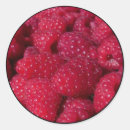 Recherche de framboise rouge autocollants Fruit