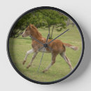 Recherche de colt horloges Délimiteur danita