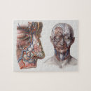 Recherche de anatomique puzzles Antique