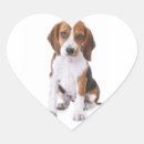Recherche de chien de beagle autocollants Chiot