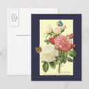 Recherche de roses blanches cartes postales Botanique