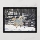 Recherche de le cheval blanc cartes postales Neige