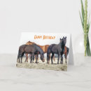 Recherche de équidés vœux cartes Chevaux