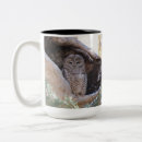 Recherche de repéré tasses Oiseau