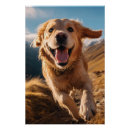 Recherche de golden retriever posters Chien heureux