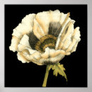 Recherche de arrière plan crème posters Floral