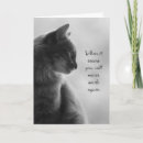 Recherche de chat triste vœux cartes Chaton