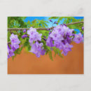 Recherche de jacaranda cartes postales Fleurs