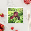 Recherche de barbu serviettes Fleur