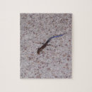 Zoek naar staarten puzzels Blauw