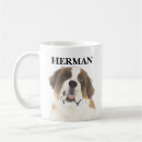 Recherche de st bernard tasses Saint