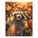 Recherche de raton laveur posters Mignon