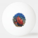 Recherche de poissons balles ping pong Océan