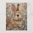 Zoek naar bruin konijn briefkaarten Bos