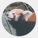Zoek naar firefox Natuur