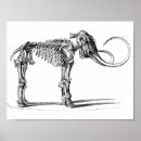 Recherche de mammouth art Animaux préhistoriques