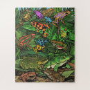 Recherche de grenouille puzzles Nature
