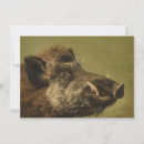 Recherche de porc sauvage cartes postales Sanglier