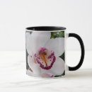 Recherche de orchidées blanches tasses Orchidée blanche