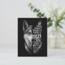 Recherche de huskies cartes postales Sibérien