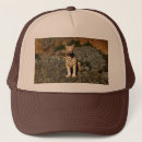 Zoek naar tiger trucker petten Kat