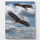 Recherche de chauve plaques Ailes