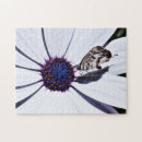 Zoek naar insecten puzzels Mot