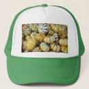 Recherche de tartes casquettes Récolte