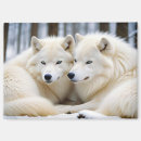 Recherche de loup de forêt magnets Animal