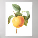 Recherche de nourriture biologique posters Nature