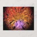 Recherche de originales cartes postales Fleurs