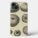 Recherche de dollar coques Océan
