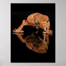Recherche de lézards posters Lézard mignon