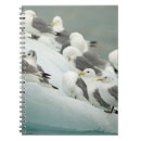 Zoek naar noorwegen notitieboeken Noordpoolgebied