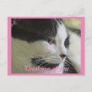 Zoek naar zwart wit roze briefkaarten Schattig