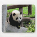Recherche de panda mignon tapis souris Zoo