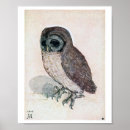 Zoek naar uil afbeeldingen posters Vogel