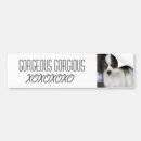 Recherche de baisers voiture autocollants Chien