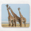 Recherche de kenya tapis souris Safari