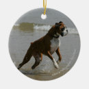 Zoek naar boxer dog ornamenten Bob en pam langrish