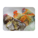 Recherche de poulets magnets Pour lui