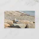 Recherche de mouette cartes visite Plage