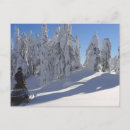 Zoek naar winterslaap posters Natuur