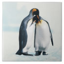 Recherche de pingouins carreaux Amour