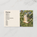 Recherche de fauconnerie cartes visite Faucons