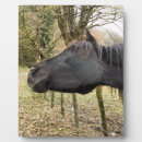 Recherche de cheval plaques Chevaux