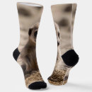 Recherche de baby slippers Mignon