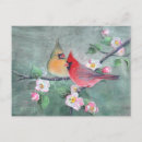 Zoek naar appel boom briefkaarten Vogel