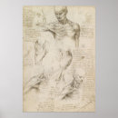 Recherche de épaule posters Anatomique